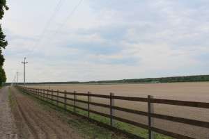 ������ 50% ������� �� ����������� ���� - ����������� 1