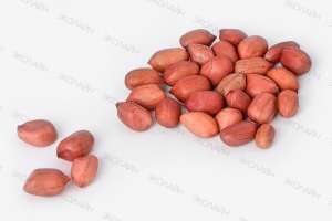 ������ 50/60 - ����������� 1