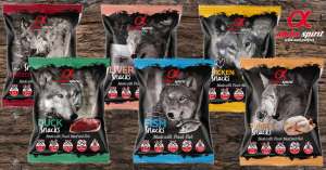 ������ ALPHA SPIRIT (���������, ����������, ������������) - ����������� 1