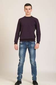 ������ DISSEL DS2045 - ����������� 1