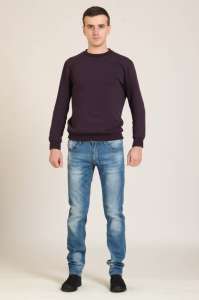 ������ DISSEL DS2049 - ����������� 1