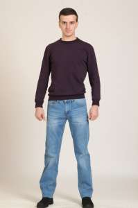 ������ Disvogas 8495 - ����������� 1