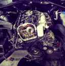 ������� � ����������: ������ Honda, Porsche, Audi