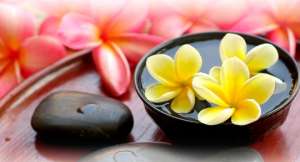 ������. - ����������� 1