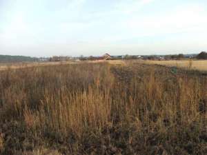 ������ - ����������� 1