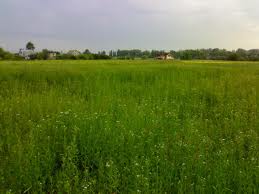 ������ - ����������� 1