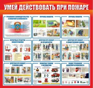 ������ - ����������� 1