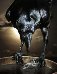 ������ - ����������� 1