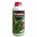 ������� � ����������: ������