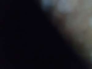 ������ - ����������� 1