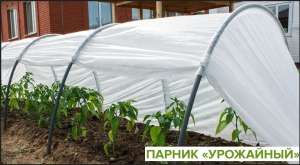 ������ - ����������� 1