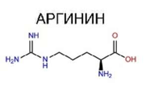 ������ - ����������� 1