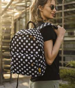 ������ Surikat City - ����������� 1