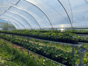 ������ VATAN PLASTIK. ����� ��� ������� �������. - ����������� 1