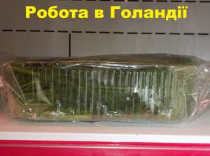 ������ � ͳ��������� - ����������� 1