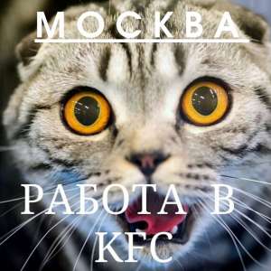 ������ � ��� - ����������� 1