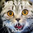 ������� � ����������: ������ � ���