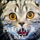 ������� � ����������: ������ � ���