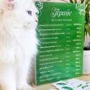 ������� � ����������: ������ � ����� �� 200 ���, ���������� � ���. ������������