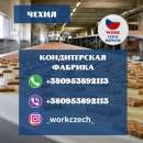 ������ � ����� ��� ������,��� ������,��� �� 55 ���,��� ������� - ����������� 3