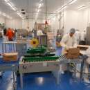 ������ � �����. ����� Nowaco-Bidfood, ����� ����� - ����������� 2