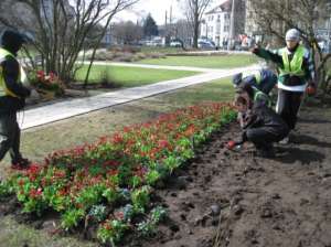 ������ � ������ � ����������� �����, ������ �� �������� ������������ - ����������� 1