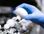 ������� � ����������: ������ � ������ � �����������, �������� ��������