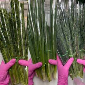 ������ � ������ �� ���������� ������ � ����������� �� ����������� - ����������� 1