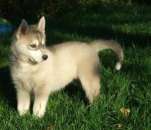 ������ � ������ ���� ������ ������������ ����� - ����������� 2