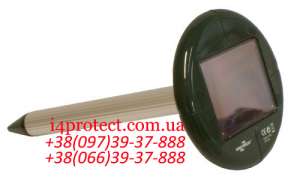 ������ � ������, �������, ������� �� �������, ������ ������ � ������� ����� ���������� - ����������� 1