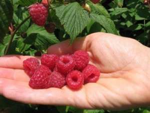 ������ � ������, ������� ��������� �� ������ ������� - ����������� 1