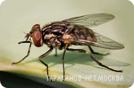 ������ � ������, ��������� ������� (�����������). ���: 8 (926) 904-76-54 - ����������� 1