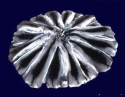 ������ � ������� �� �������� ������������ �������� - ����������� 1