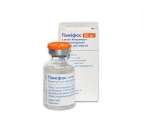 ������� � ����������: ������ � ������� ����� ������� ����� ������ ������� ������� �����.