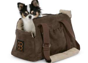 ������ � ������� ����� ���������� ��� ��������� �������� �� ������� - ����������� 1