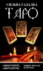 ������ � ������� ������� �������. ����� �������� ��������. ������� ���� �������. - ����������� 1