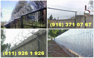 ������ � ������� ������� ��������� ����� � �����-���������� - ����������� 1