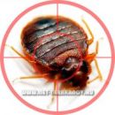 ������� � ����������: ������ � �������, ����������� ���������� ������.