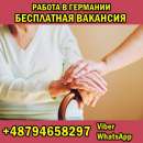 ������� � ����������: ������ � �������� 1700 Euro./���. ���������� ��������.