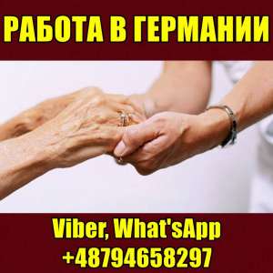 ������ � ��������. ���� �� �������� ������. - ����������� 1