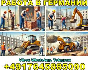 ������ � ��������: �����������, ���������, ���������, �������������� - ����������� 1