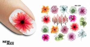 ������ � �������� �������-������ ��� �������� - ����������� 1