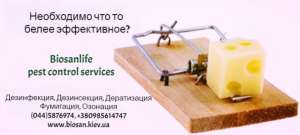 ������ � ���������. - ����������� 1