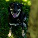 ������ � ���������! ������� ���� ���� ���! - ����������� 1