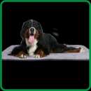 ������ � ���������� �������������, ������������ - ����������� 3