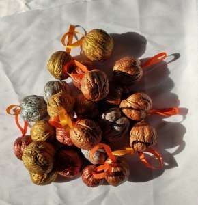 ������ � ����������� - ����������� 1