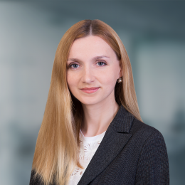 ������ � ������������ ������� � �������� ������ - ����������� 1