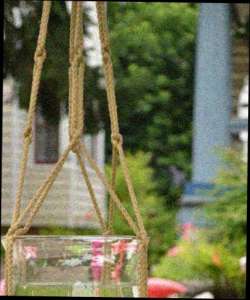 ������ � ������������ ����������� ����� ���� � ��������. - ����������� 1