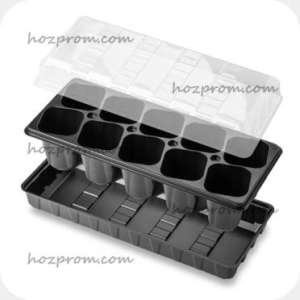 ������ �� 10 �������� ��� ������� ������, ������ �� ���� - ����������� 1