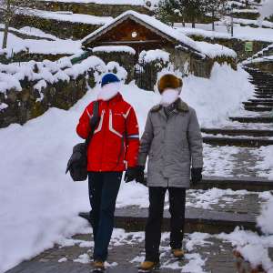 ������ �� ��� ��������� ������������ � 100 ��� ������� ��� � �������� - ����������� 1